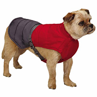 Zack & Zoey Trek Puffy Jacket