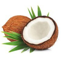 Budibar-Coconut