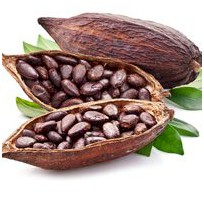 Budibar-Dark Chocolate