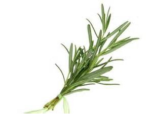 Budibar-Rosemary oil extract