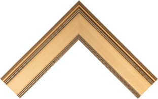 gallery gold petite frame
