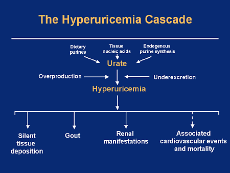 hyperuricemia