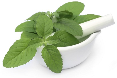 gout and basil