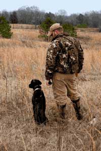 dog training collars or shock collars in the field