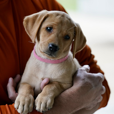 \""Cute