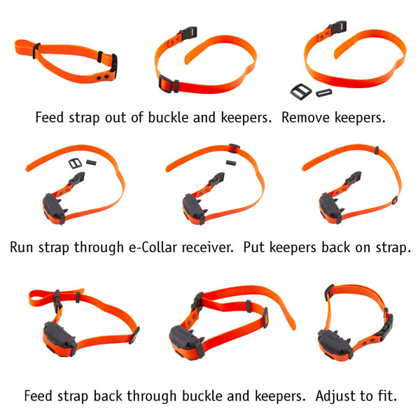 3/4 in. Quick Dawg Biothane Quick Release ECollar Strap. 14.99.