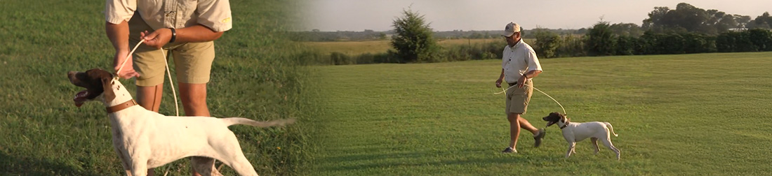 Man walks his dog with his wonder-lead 