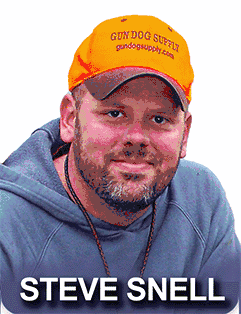 Read Steve Snell's dog training collar reviews & more