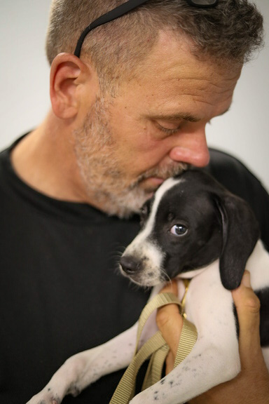 setter pup at a Ronnie Smith Seminar