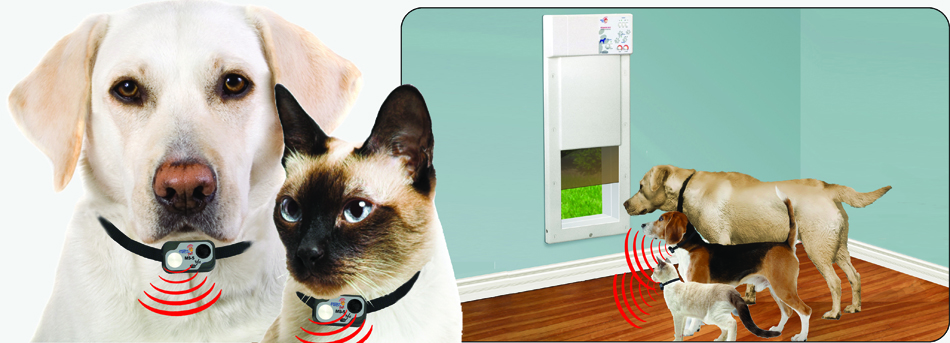 Electronic Dog Doors for All Size Doggy's and Kitties