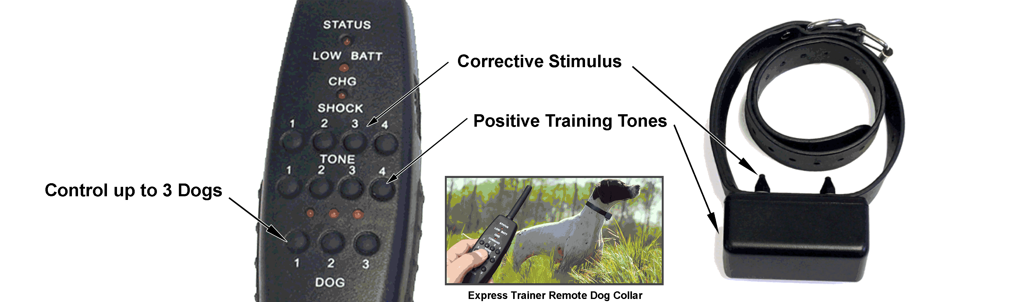 remote