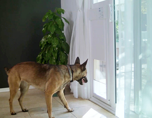 PX2-STE LARGE POWER PET PATIO DOOR, TALL – High Tech Pet