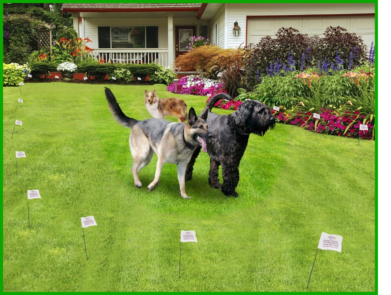 HC7000B Super Electronic Dog Fence 3Dog System