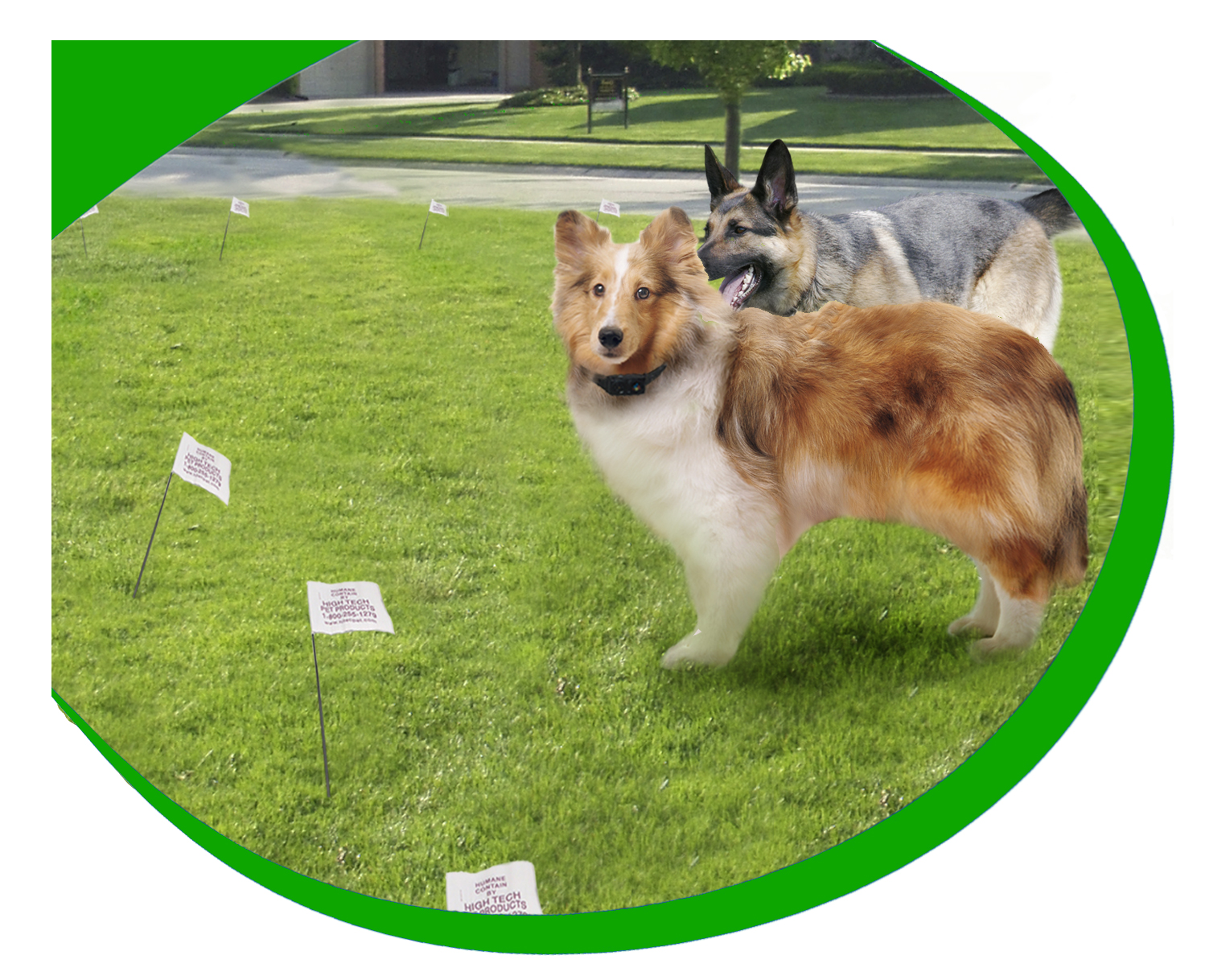 HC8000 Ultra Electronic Dog Fence 2 Dog