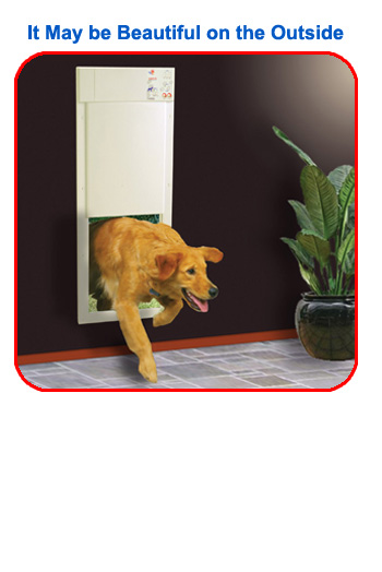 Perfect automatic pet door for your medium size dog