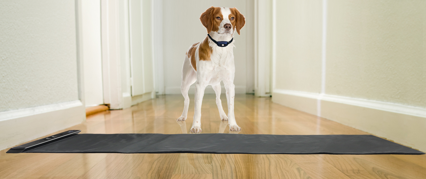 super scram scat mat activates electronic training collar