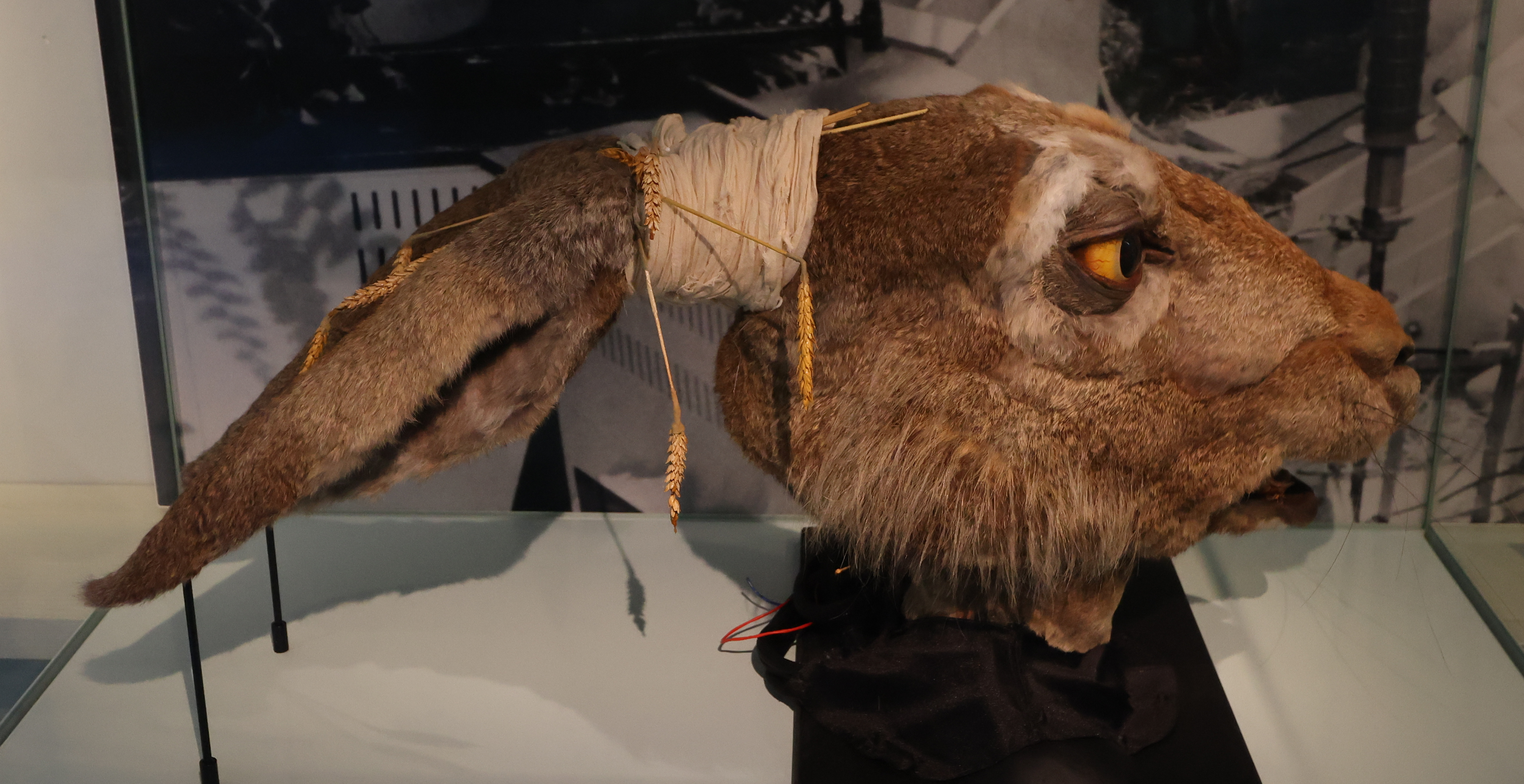 Animatronic March Hare head created by Jim Henson's Creature Shop for Alice in Wonderland