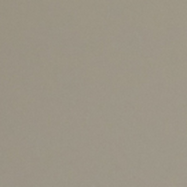 HT2806 Warm Gray