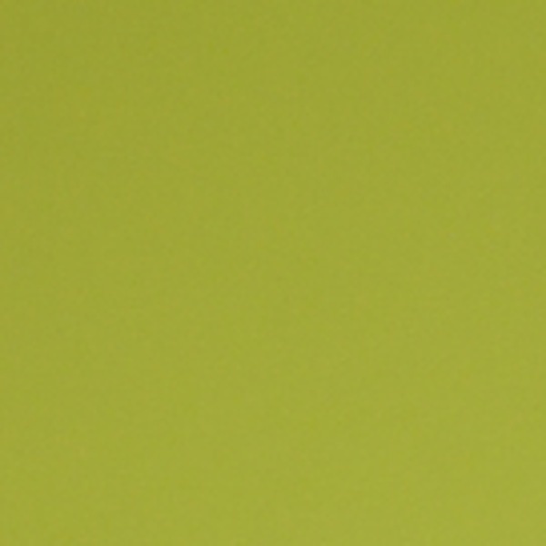 HT2810 Olive