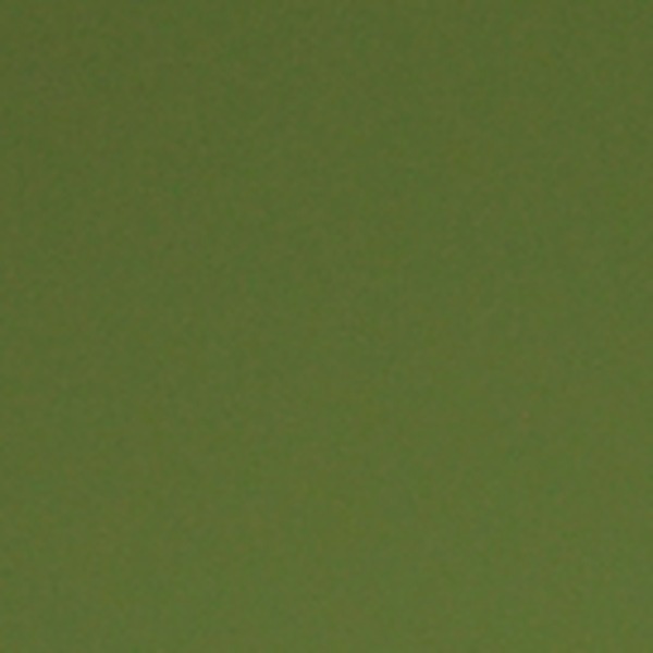 HT2816 Forest Olive