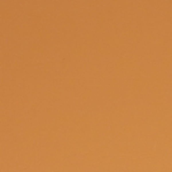 HT2817 Cognac