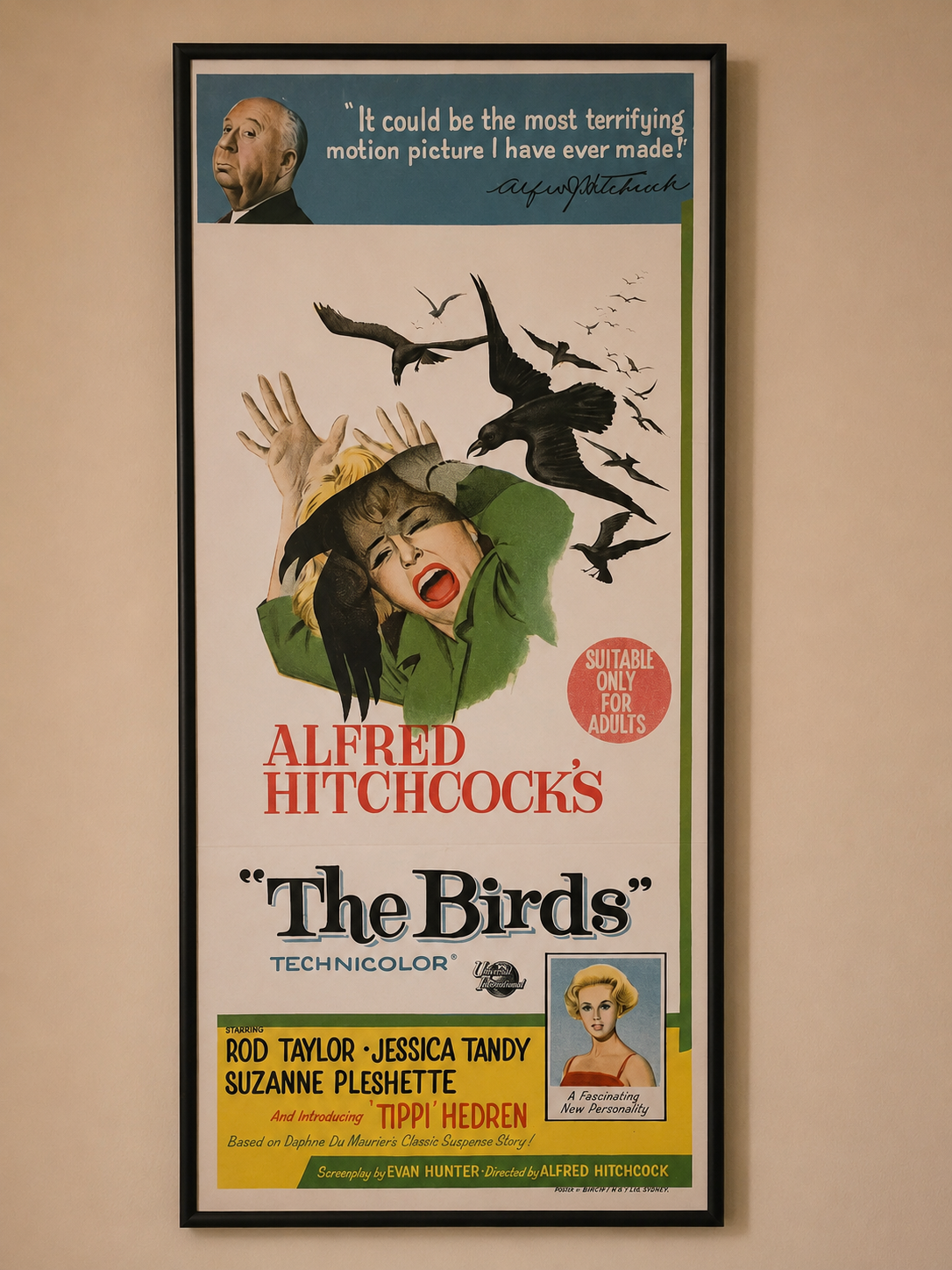 Australian daybill for Alfred Hitchcock's The Birds displayed in Alan Hutchinson's private home theater