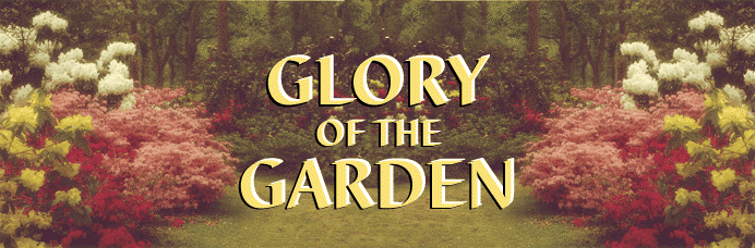 Glory of the Garden Banner with Lionel Nathan's garden in the background.
