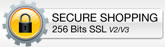 secure 256bit encryption