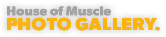 House of Muscle Photo Gallery