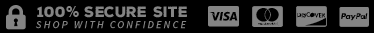 100% Secure