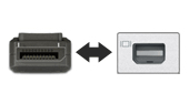 DisplayPort & Mini-DP Video Adapters