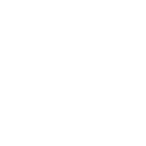 Free shippin icon