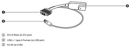 DG-100SD DVI USB Dongle Diagram