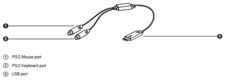 SUN-31 Kit Structure Diagram