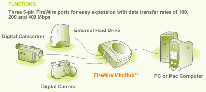 IOGEAR FireWire Hub Application Diagram