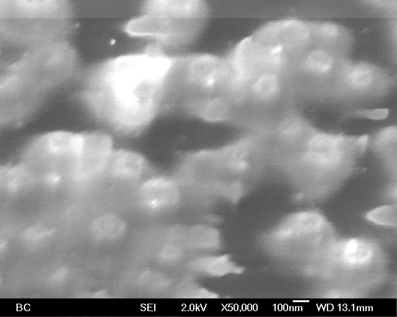 Exposed nanotube cross sections from a spin-on-glass-sealed array after mechanical polish.