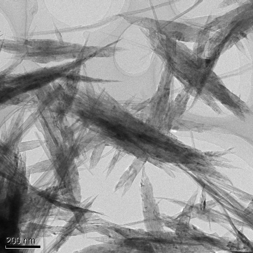 copper nanoparticles