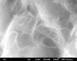 Double wall nanotube SEM image