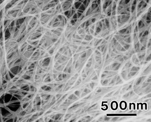 Single-wall Nanotube SEM image