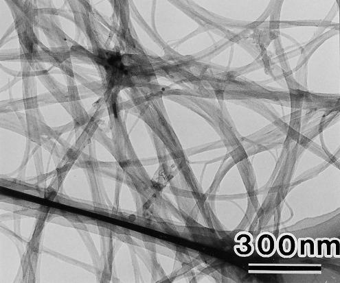 Single wall nanotube TEM image