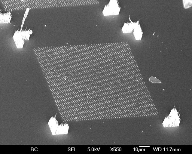 free standing arrays