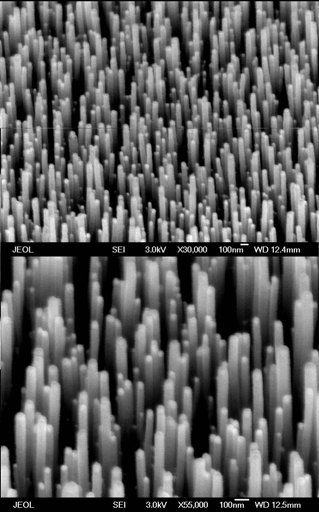 carbon nanotube arrays on a silicon wafer