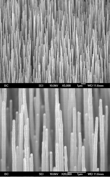 nanotube arrays on stainless steel