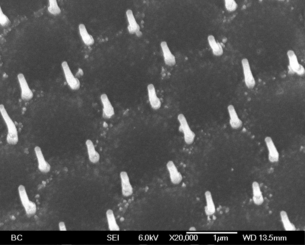 carbon nanotube arrays in hexagonal pattern