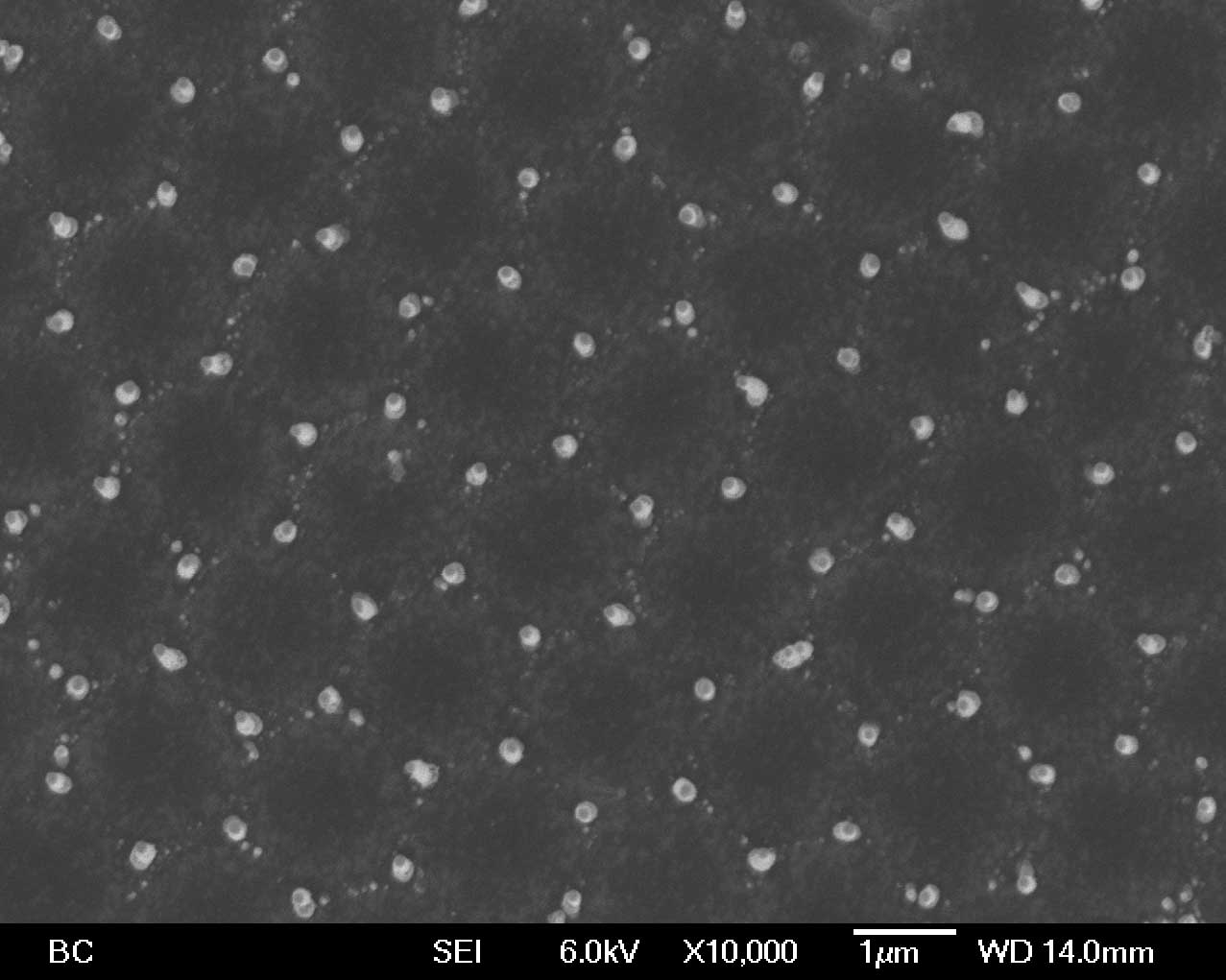 carbon nanotube arrays in hexagonal pattern