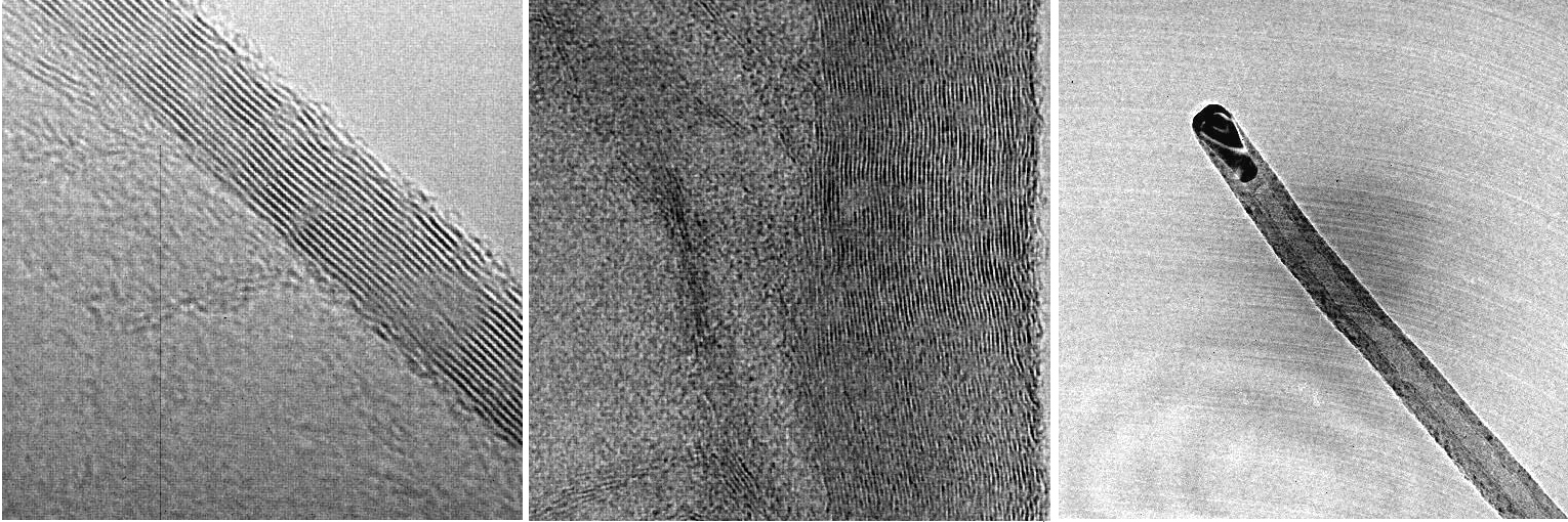 tips and walls of aligned carbon nanotube arrays