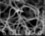 carbon nanotubes