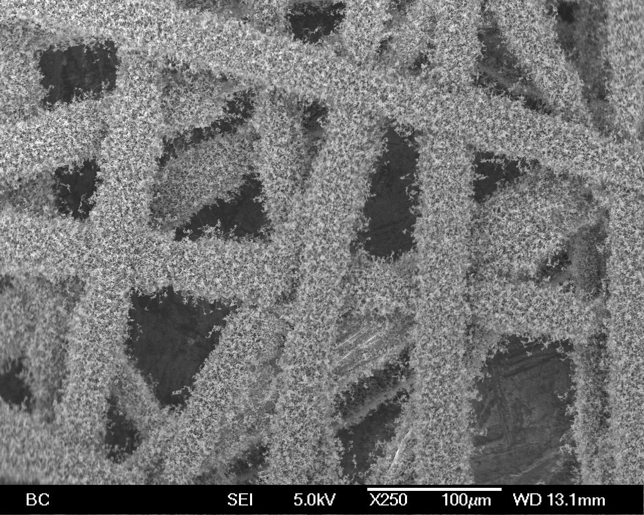 Carbon nanotubes grown on carbon fiber mesh, using the in situ growth ISG process.  The apparent fiber diameter is now increased from 7 microns to ~50 microns due to the nanotube coating.