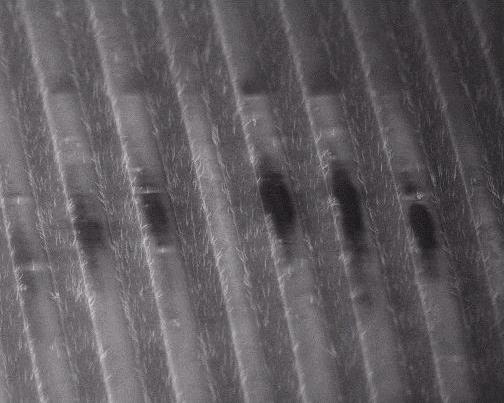 patterned carbon nanotubes