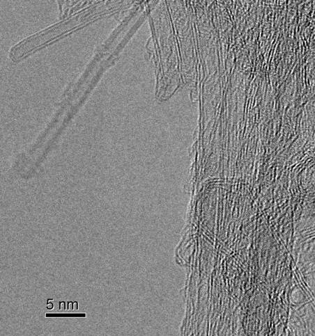 Double wall nanotube TEM image